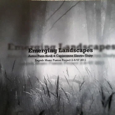 EMERGING LANDSCAPES