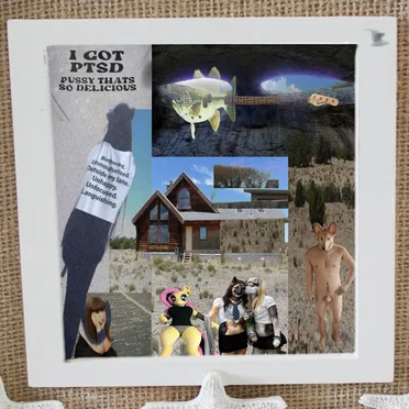 UNWANTED HOUSEGUEST. (RICKETY REGION, WHERE WE RESIDE FOR NOW.) by SHOPPER - album cover