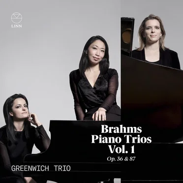 Piano Trios, Vol. 1: Op. 36 & 87