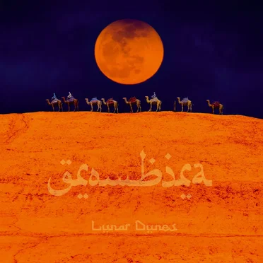 Lunar Dunes