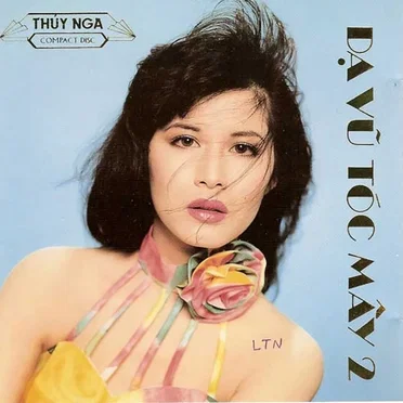 Dạ vũ tóc mây 2 by Various Artists - album cover