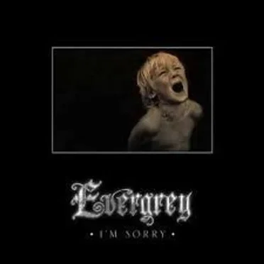 I’m Sorry by Evergrey - album cover