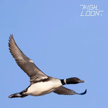 High Loon! by Woody Goss - album cover