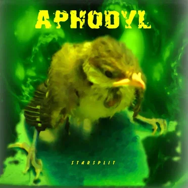 Starsplit by Aphodyl - album cover