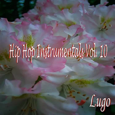 Hip Hop Instrumentals Vol. 10