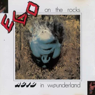 Acid in Wounderland