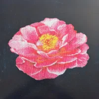 Post Malone artist image