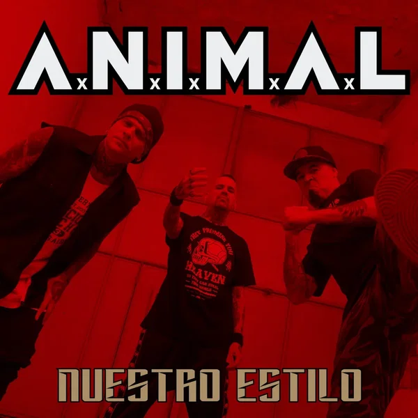 Nuestro estilo