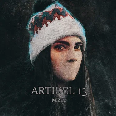 Artikel 13