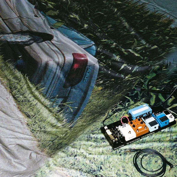 The Sunset Violent (Live in Heidelberg)