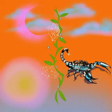 Pink Chicken Spot by SWSHR - album cover