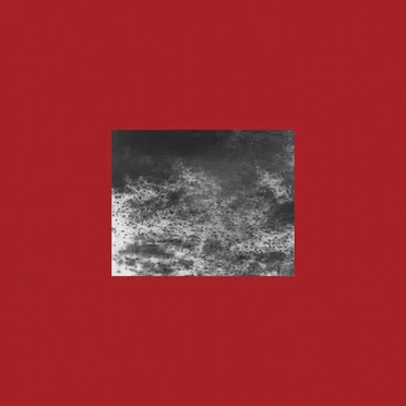 This Is The Water And This Is The Well