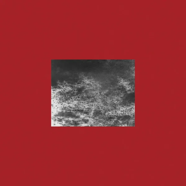 This Is The Water And This Is The Well