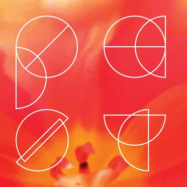 czarno / biala by Past - album cover