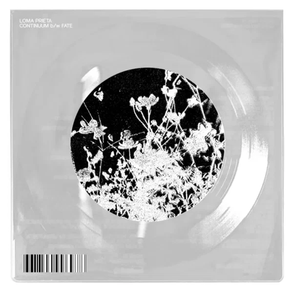 Continuum B/W Fate