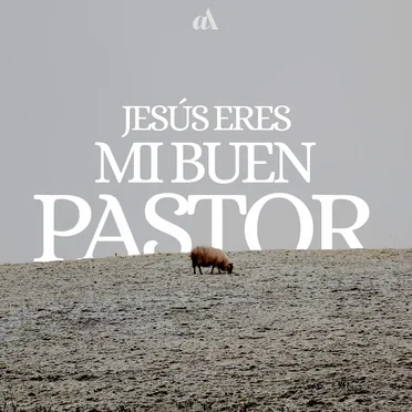 Jesús Eres Mi Buen Pastor by Adoración de lo Alto - album cover