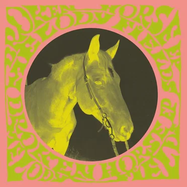 Broken Horse by Melody Fields - album cover