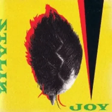 JOY
