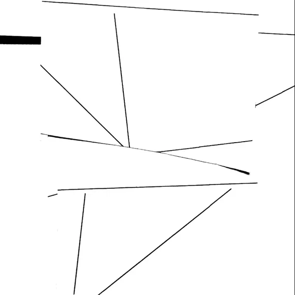 Actions–Remarks: John Cage’s Variations