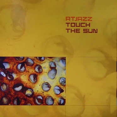 Touch The Sun