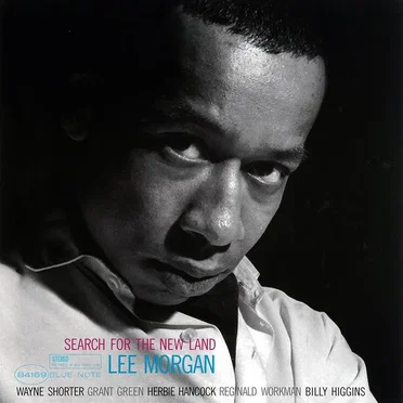 Search for the New Land