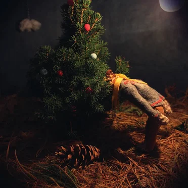 What I Said About the Pinecone by Really Big Pinecone - album cover