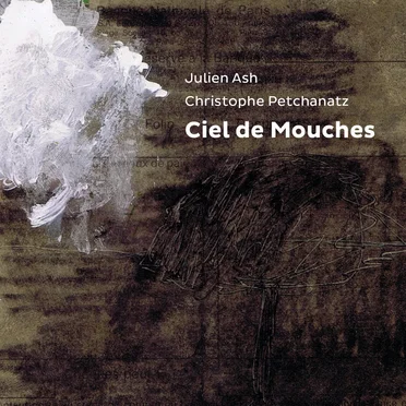Ciel de mouches