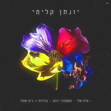 יונתן קלימי