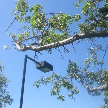 Some Apartment Complex Recordings