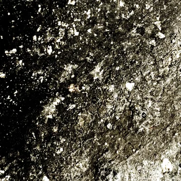 Imagined Textures of the Mud