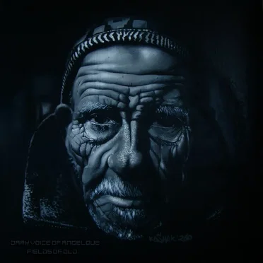 Fields of Old by Dark Voice of Angelique - album cover