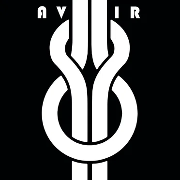 Nous ne sommes plus vierges et nous avons raté nos examens by Avenir - album cover