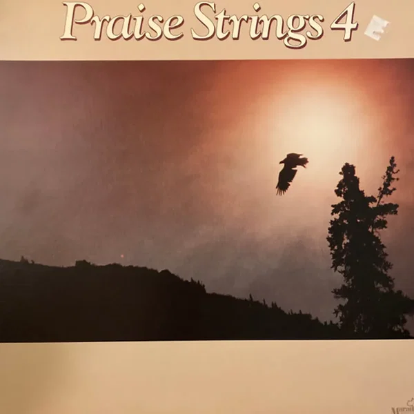Praise Strings 4