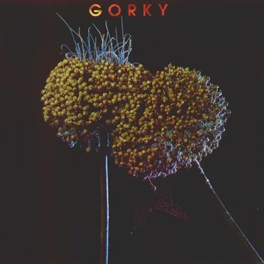 Gorky