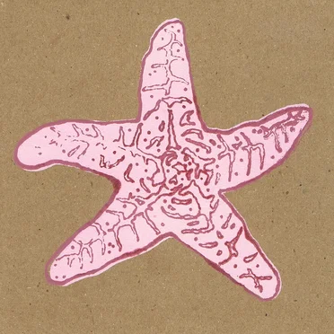 Stellaluna