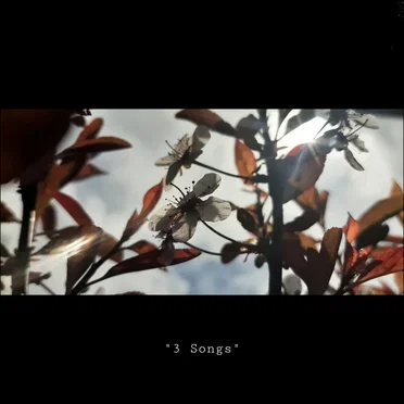 3 Songs