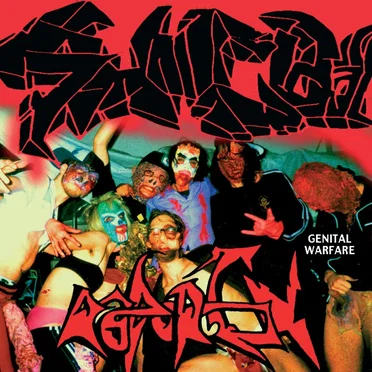 Genital Warfare