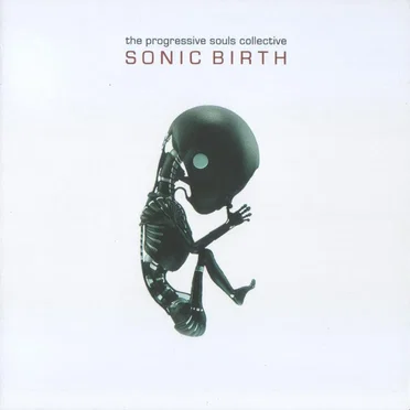 Sonic Birth by The Progressive Souls Collective - album cover