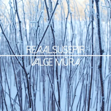 Valge müra