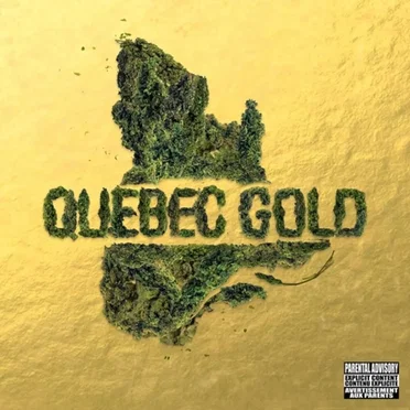 HHQc.com : Québec Gold by Various Artists - album cover