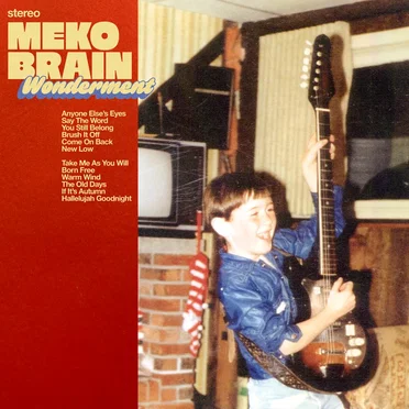 Wonderment by Meko Brain - album cover