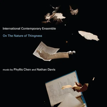On The Nature Of Thingness