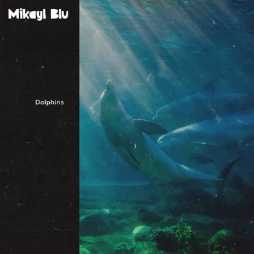 Dolphins