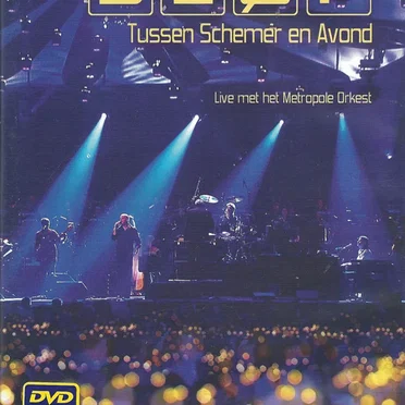 Tussen schemer en avond