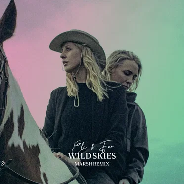 Wild Skies (Marsh remix)