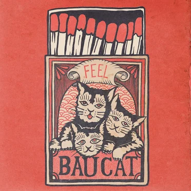 Bau Cat