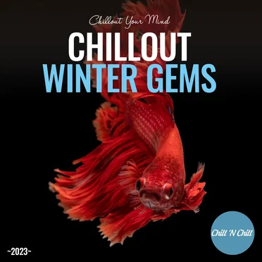 Chillout Winter Gems 2023: Chillout Your Mind by Various Artists - album cover