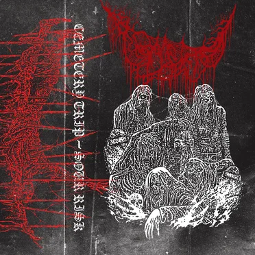 Sour Risk by Cemetery Trip - album cover