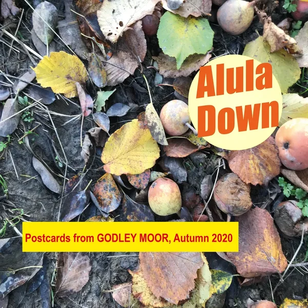 Postcards from Godley Moor, Autumn 2020