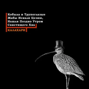 Калахари by Кобыла и Трупоглазые Жабы Искали Цезию, Нашли Поздно Утром Свистящего Хна - album cover